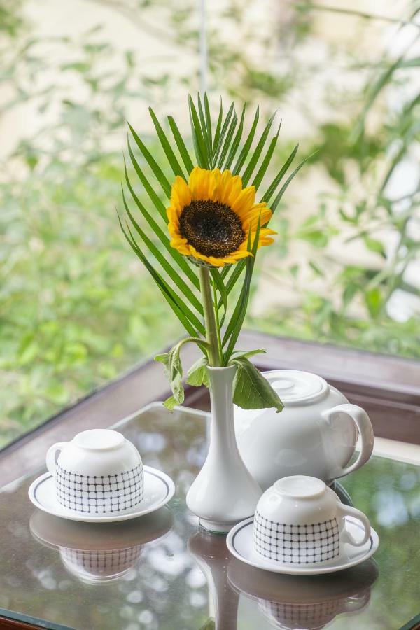 Golden Soulmate Homestay Χόι Αν Εξωτερικό φωτογραφία